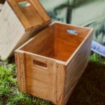 【Diver入力補助】「囲い線」で作れるデザインと作り方（Gutenbergにも対応）